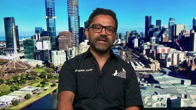 Shortage of cat vaccines impacting shelter and catteries