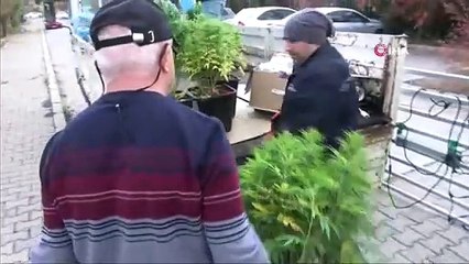 Özel düzeneklerle apartman dairesini esrar bahçesine çevirmişler