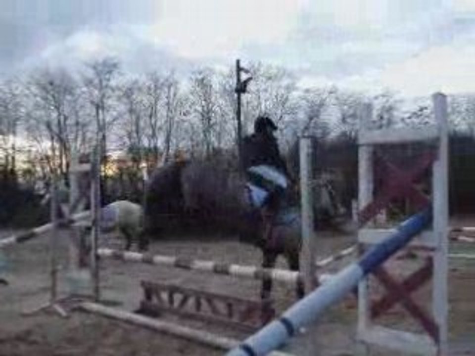 Cours de saut du 26 mars 2008