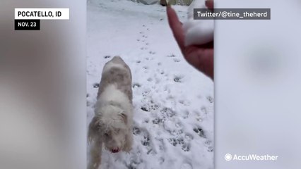 Thanksgiving snow falls across the Rockies