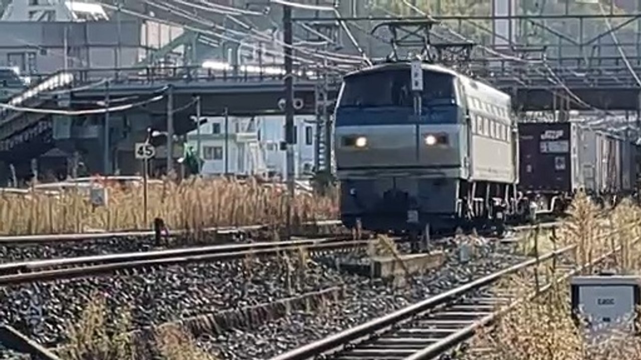 PXL_20231107_084539 EF66 125 67列車・67レ Train 67, 67 re.