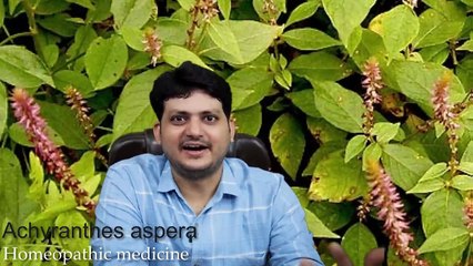 Achyranthes Aspera I Homeopathic Medicine for Tooth Problem I Diarrhoea and Dysentery IBS I How to Use