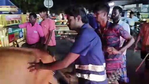 நாகையில் பாதசாரி உயிரிழந்த விவகாரம்; சாலையில் சுற்றித்திரிந்த மாடுகளை அதிகாரிகள் பிடித்துச் சென்றதால் பரபரப்பு