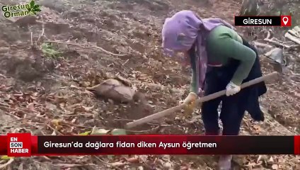 Giresun'da dağlara fidan diken Aysun öğretmen