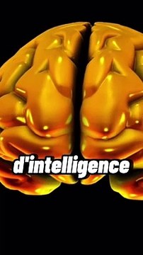 Top 10 des anecdotes folles sur Elon Musk