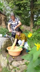 Today I plucked many fruits from a tree and took out their seeds, then cooked them and then took out the seeds and ate them.