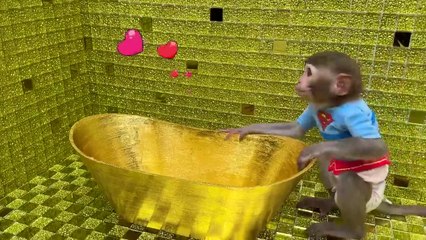 Monkey Baby Bon Bon bath in the toilet and Eats Ice Cream Gold with puppy at the pool