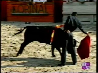 TARDE DE TOROS J. M. MONTOLIU Y RUBEN PRIETO-CIGALES-23 07 96