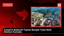 Yozgat'ta Balıkçılık Yapılan Barajda Toplu Balık Ölümleri Korkuttu