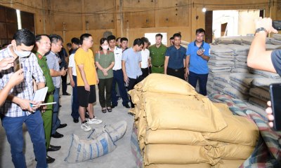 Bí mật đường dây ma túy triệu USD đằng sau 100 tấn xi măng ở Hải Phòng