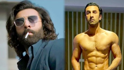 Animal Day 1 Box Office Predictions: Will The Movie Be Ranbir Kapoor's Biggest Opener Till Date?