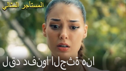 لقد دفنوا الجثة هنا