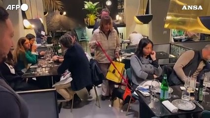 A Roma ha aperto "Fiuto", il primo ristorante per cani in Italia