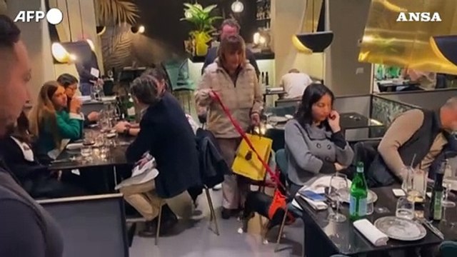 A Roma ha aperto Fiuto , il primo ristorante per cani in Italia