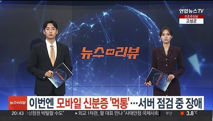 이번엔 모바일 신분증 '먹통'…서버 점검 중 장애 발생