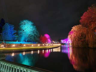 Luminate Christmas light trail at Coombe Abbey Park in Coventry