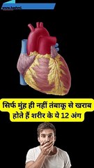 सिर्फ मुंह ही नहीं तंबाकू से खराब होते हैं शरीर के ये 12 अंग | #shorts