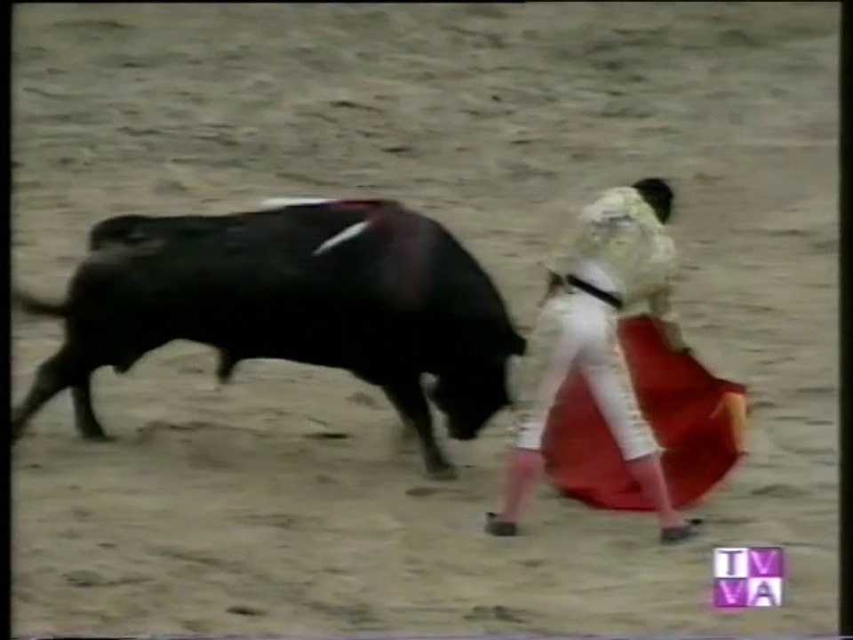 TARDE DE TOROS-JESULIN-RAFI CAMINO-MANOLO SANCHEZ-MEDINA DEL CAMPO-11 09 96