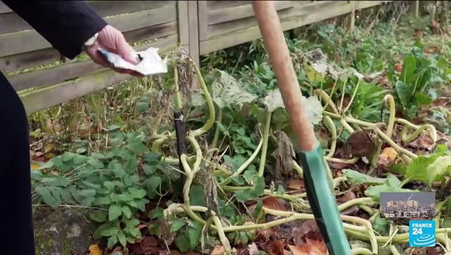 Mes parents, ma famille sont sous les bombes : témoignage d'un Gazaouis rentré en France
