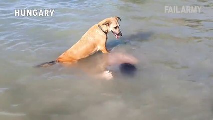 Idiots Around Europe - Try Not To Laugh 2023