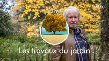 Travaux du jardin - 30 décembre 2023 : les frelons