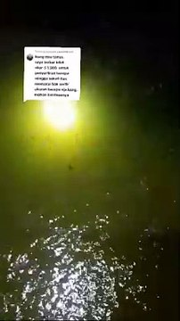 Kapan waktu SORTIR ikan lele❓Semoga video ini banyak ditonton PEMULA agar faham kapan SORTIR IKAN LELE