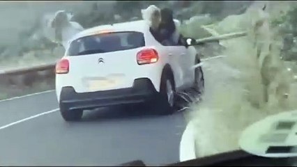 COnducción temeraria en la carretera de San Andrés-Las Canteras