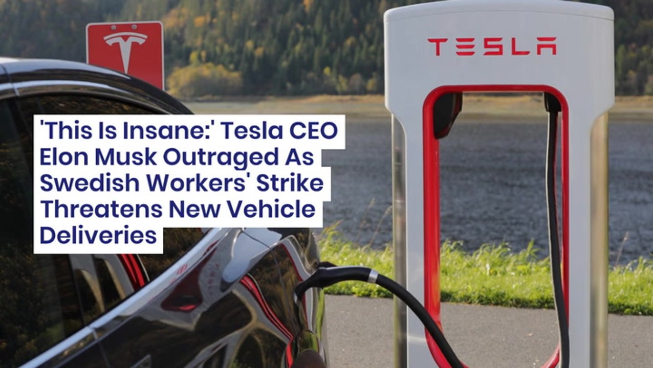 This Is Insane Tesla Ceo Elon Musk Outraged As Swedish Workers Strike Threatens New Vehicle 1156