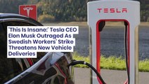 'This Is Insane:' Tesla CEO Elon Musk Outraged As Swedish Workers' Strike Threatens New Vehicle Deliveries