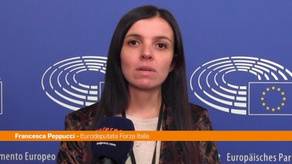 Violenza donne, Peppucci "Serve una normativa unica in Europa"
