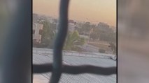 فيديو متداول لنقل الرهائن لدى #حماس إلى #رفح بسيارات الصليب الأحمر #غزة  #العربية