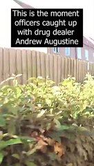 Moment Biggleswade drug dealer tried to get away from police through his neighbour's garden