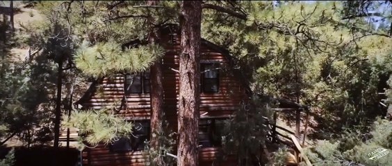 Angel Baby Trailer OV