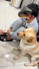 Funny video | funny video Short | funny clips