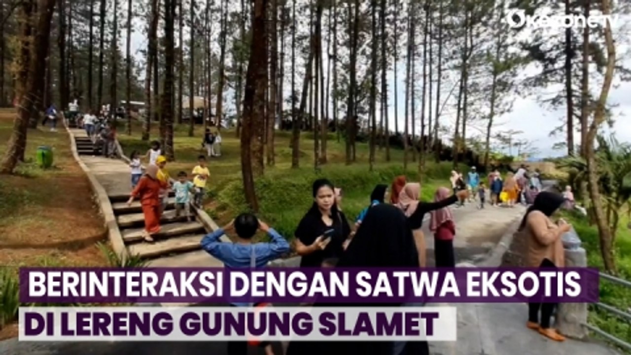 Nikmati Udara Segar Sembari Berinteraksi dengan Satwa Eksotis di Lereng Gunung Slamet