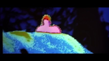 "Je ne ferai pas ce film", on sait enfin pourquoi Arnold Schwarzenegger n'est jamais revenu dans cette célèbre saga de science-fiction