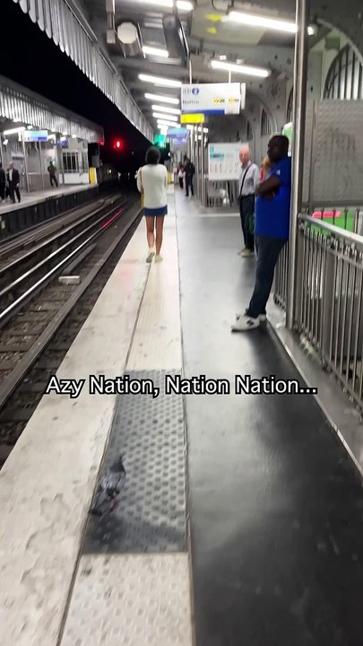 Pigeon metro