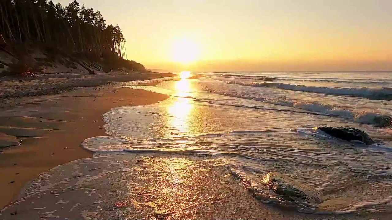 "Calm Oasis: Ambient Music for a Peaceful Mind"