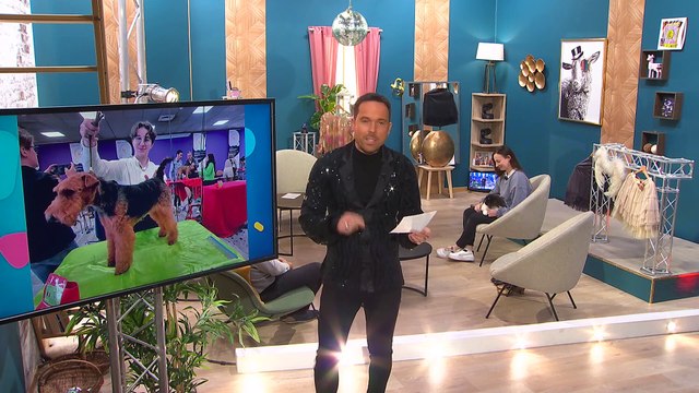 Local Génial - 24/11/2023 - Des tourangelles championnes de France de toilettage canin et félin