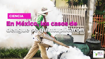 En México, los casos de dengue se quintuplicaron