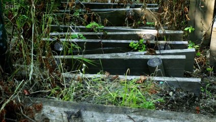 Defenders Uk S06E03 (22 November 2023)