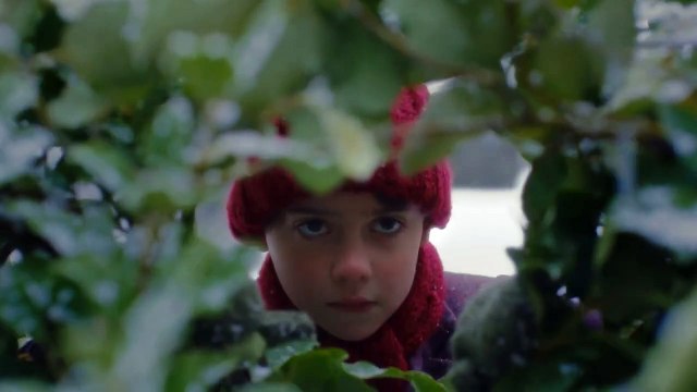 Le lapin de velours Bande-annonce (ES)
