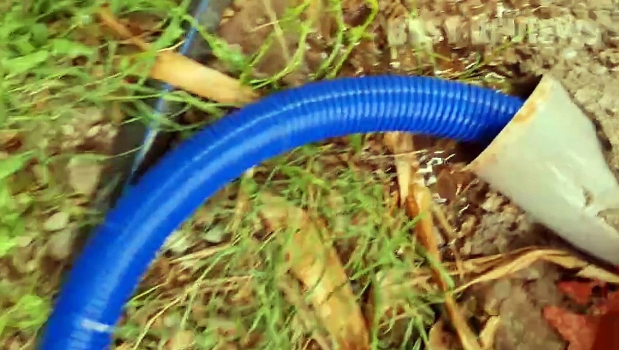 Milliard See-Thru Pool Vacuum Head Review - video Dailymotion