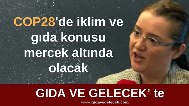 COP28 Birleşmiş Milletler İklim Değişikliği Konferansı
