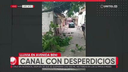 Parte de un árbol caído afecto vivienda en el barrio San Luis