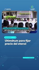 Ultimátum para fijar precio del etanol