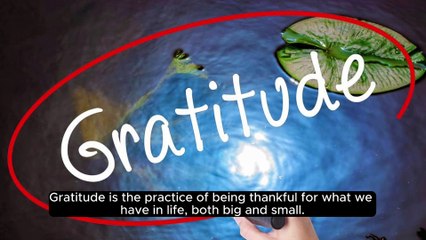 Motivation - Delving into the True Meaning of Gratitude