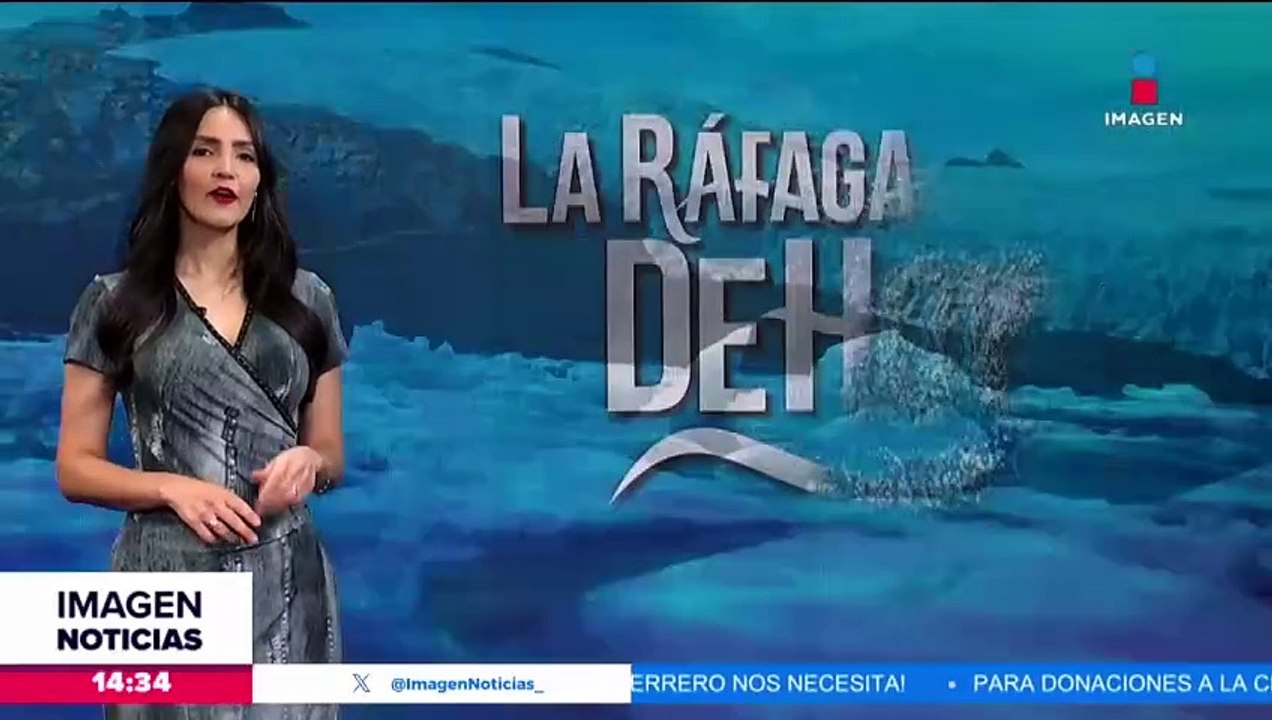 Captan bioluminiscencia en España