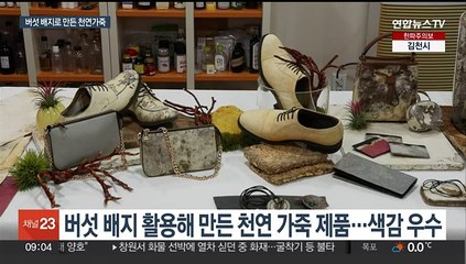 버섯 균사체로 천연가죽 제조…내구성 탁월·환경오염 예방