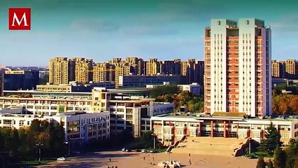 China celebra el nacimiento del primer gato clonado nacional